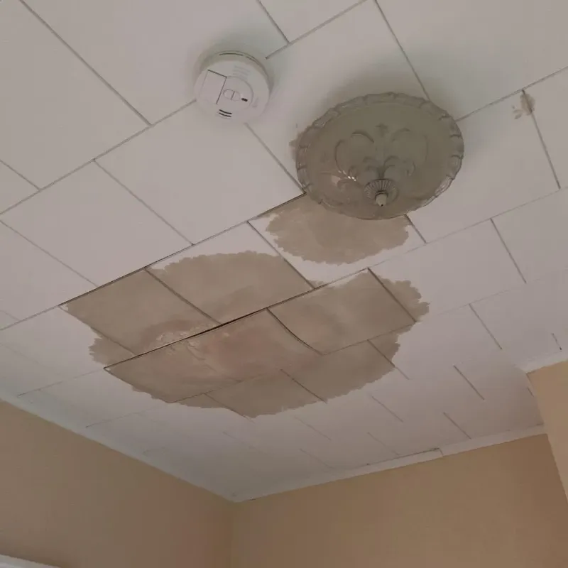 Ceiling Water Damage Repair in East Glenville, NY